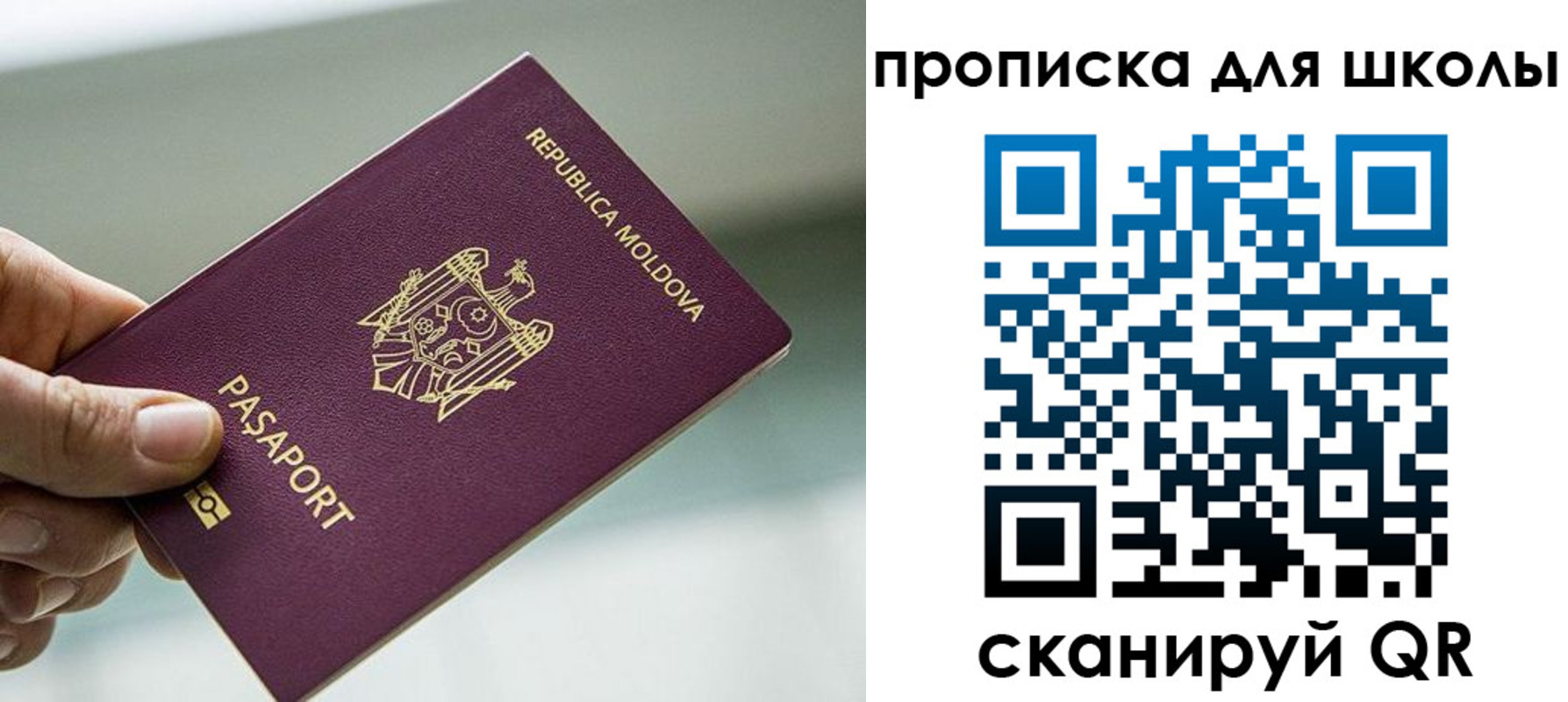 прописка в квартире в Жердевке